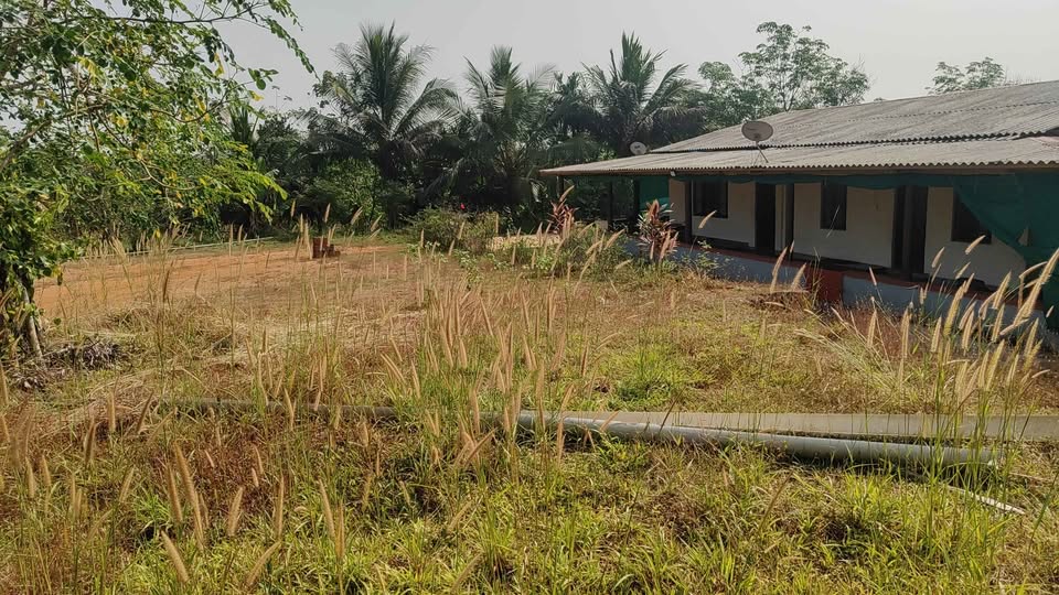 12.5-Acre Arecanut Farm near Puttur