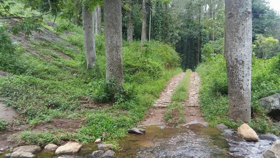 143-Acre Coffee and Pepper Farm in Kodaikanal