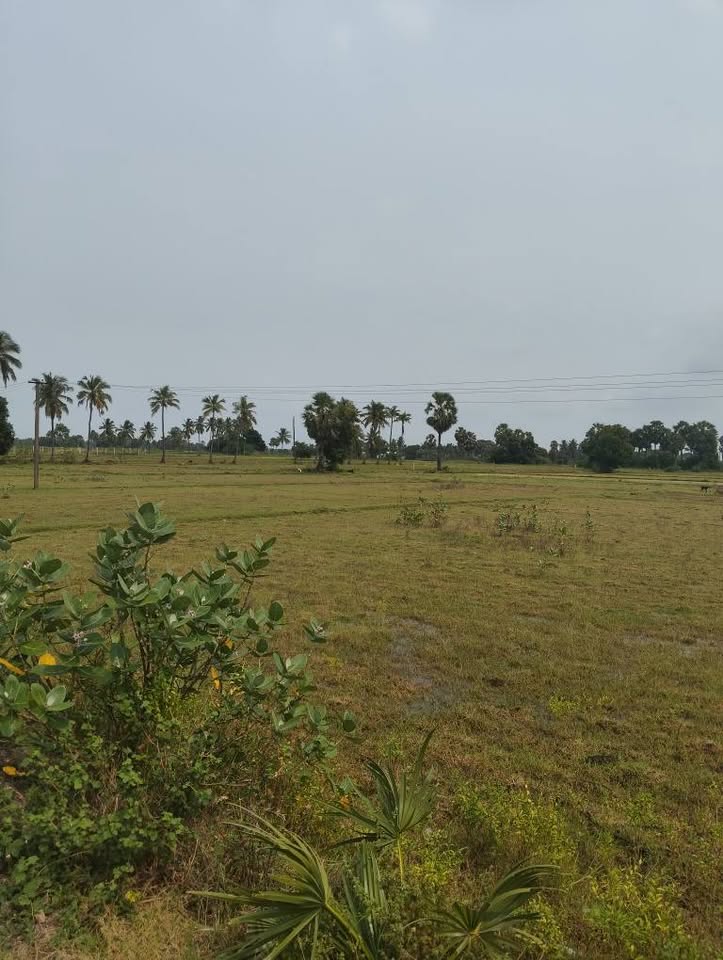 1-Acre Punchai Land on Tar Road