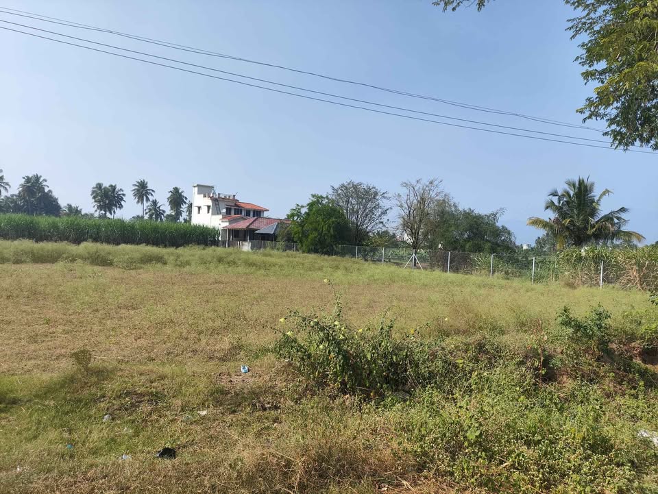 0.2-Acre Land in Ammapettai