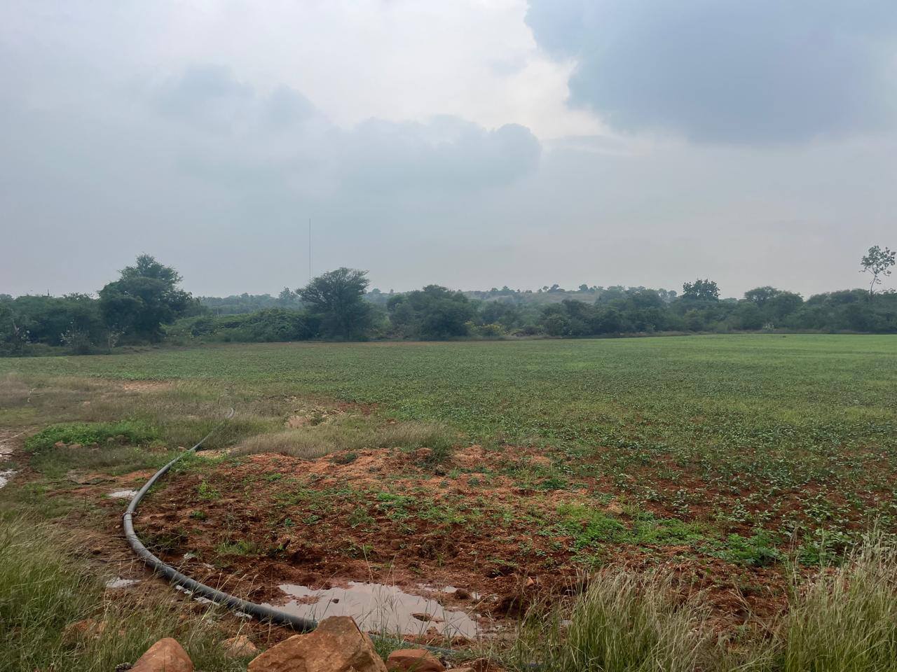 15.5-Acre General Property in Kondakarmarla