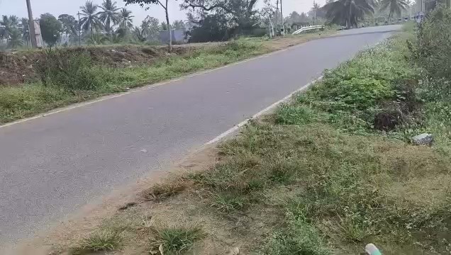 2.25-Acre Coconut Farm Near Kabbalamma Temple