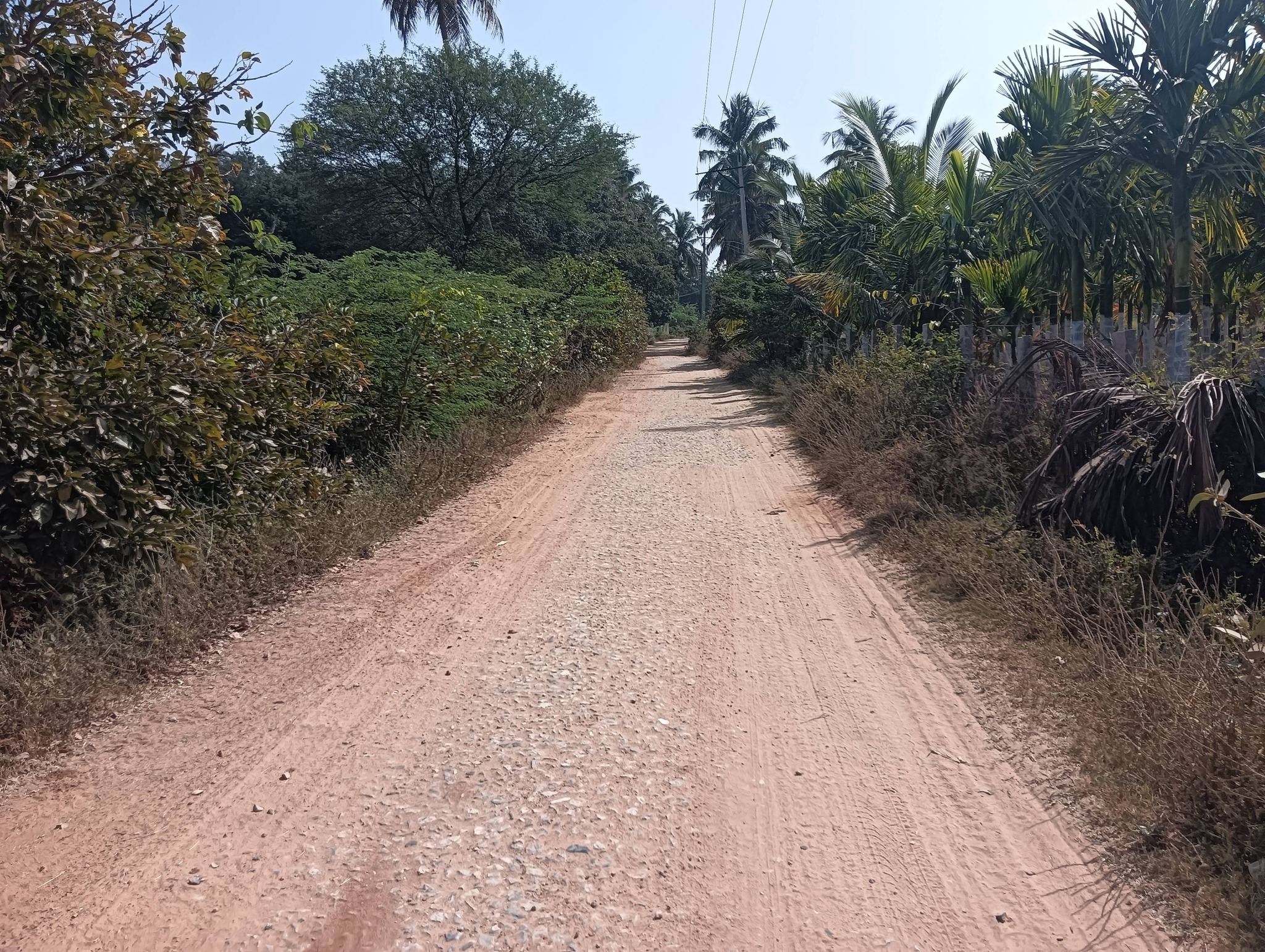 1.75-Acre Agricultural Land in Hiriyur
