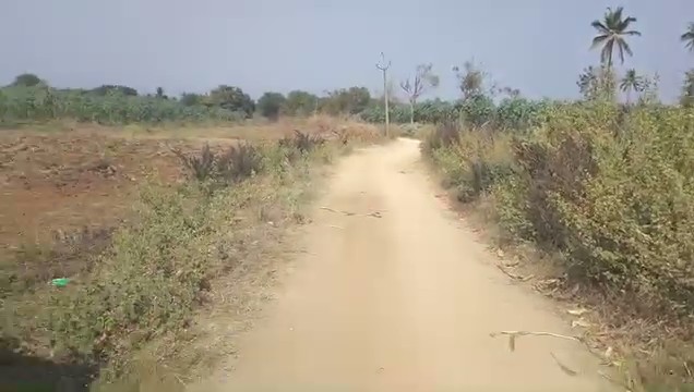 10-Acre Agricultural Land near Gouribidanuru