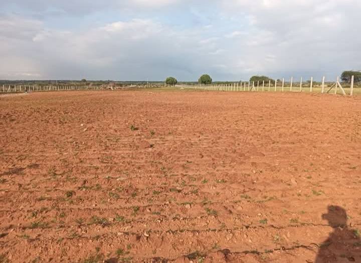 4-Acre Agricultural Land in Sira