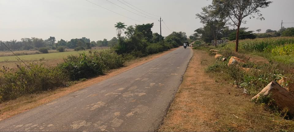 6-Acre Agricultural Land Near Nanjangud