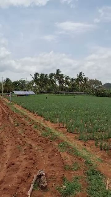 2-Acre Agricultural Land in Singanallur