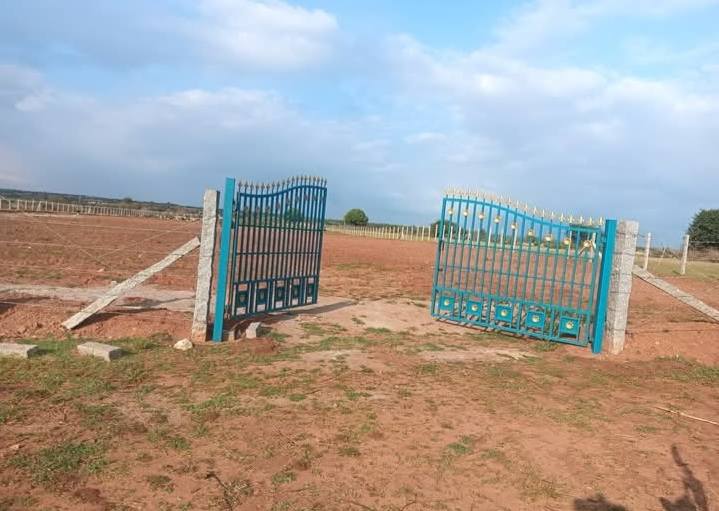 4-Acre Agricultural Land in Sira
